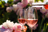 Tickets Rosé - Genuss in Rosatönen | 05. Juni 2025, ab 18:00 Uhr